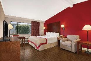 1 King Bed, Mobility Access Room, Stand Up Shower Only w/ Grab Bars, Non-Smoking interior